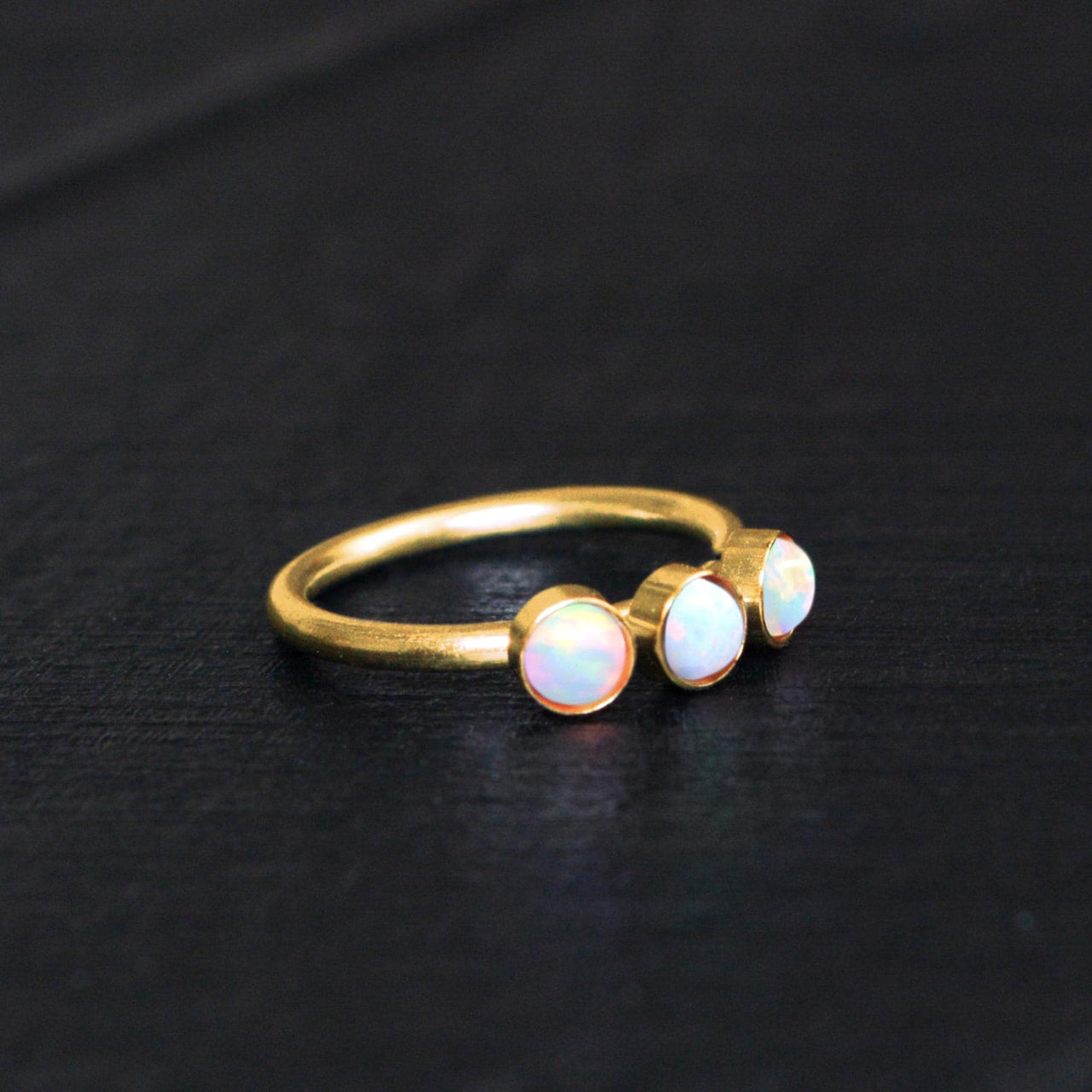 Lush Nose Ring - Titanium Nose Jewelry - Gold Nose Ring - Nose Piercing Jewelry Nose Ring Brother & Sisters