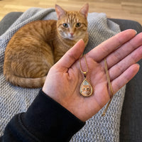 Thumbnail for Customer photo: the gold drop photo necklace with her cat's photo, her cat in the background | SKU: TPH-DRPN-GOLD